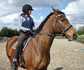 Horse Riding