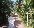 Salwo Zoo